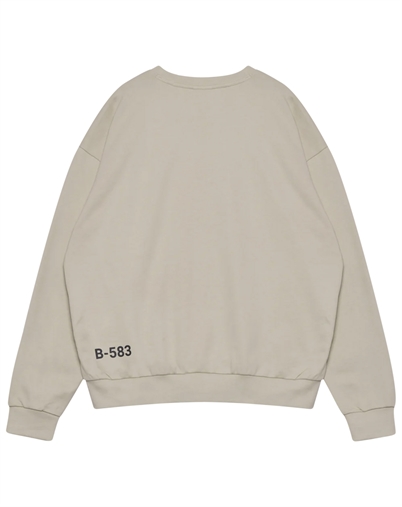Halo - Graphic Boxy Crew  - Oyster Gray 